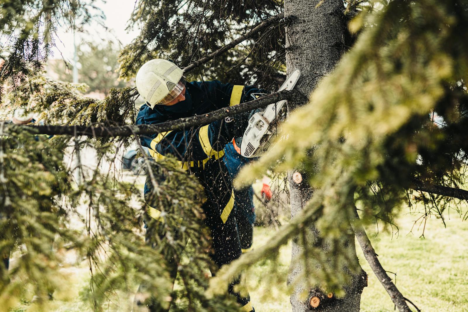Team Up With Apex Tree Service