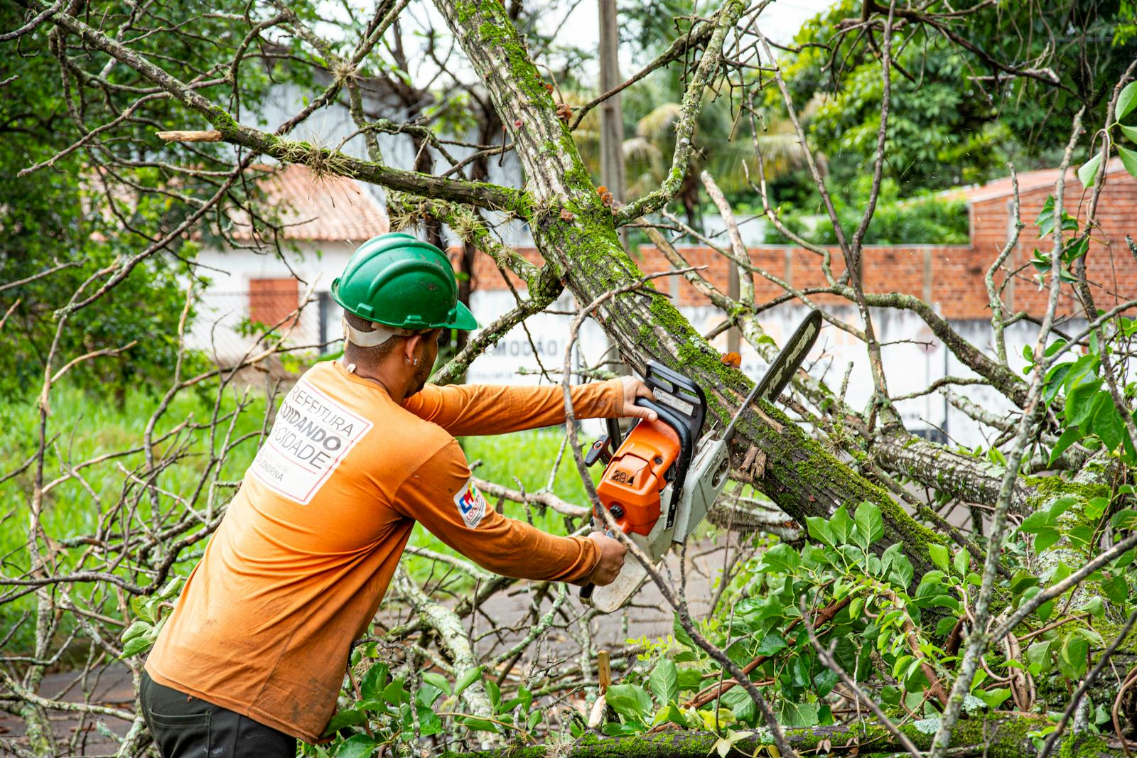 Emergency storm cleanup